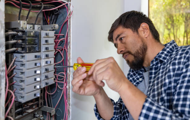 Best Home Electrical Repair  in Hinckley, IL